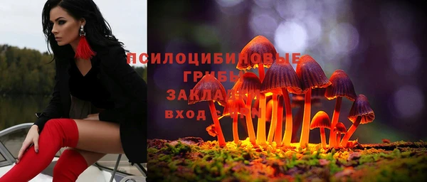 a pvp Алзамай
