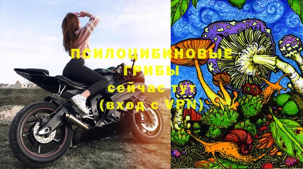 a pvp Алзамай