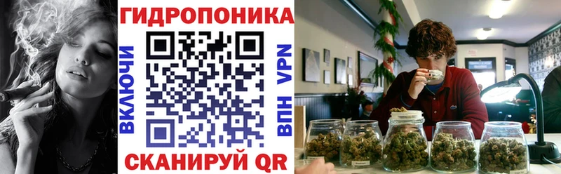 купить наркоту  Дыгулыбгей  Конопля тримм 